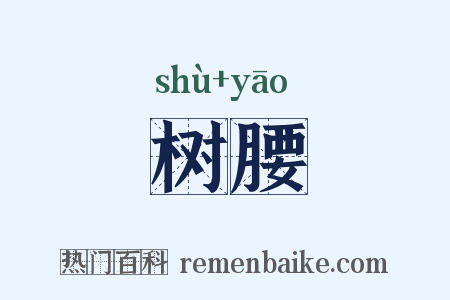 树腰是什么意思的图片